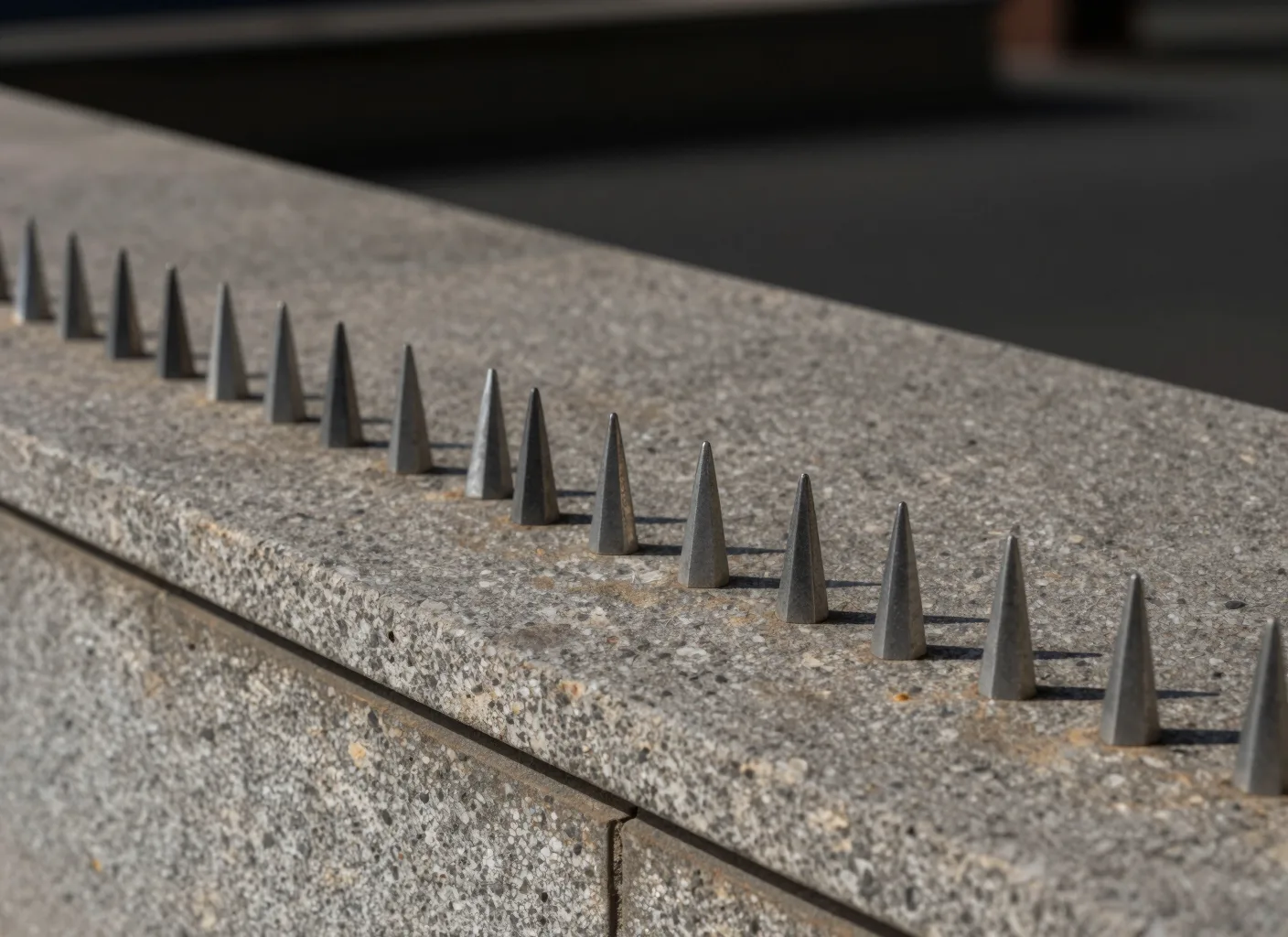 Nahaufnahme montierter Taubenabwehr-Spikes